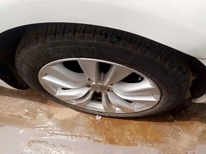 Nissan Fuga    - 2011