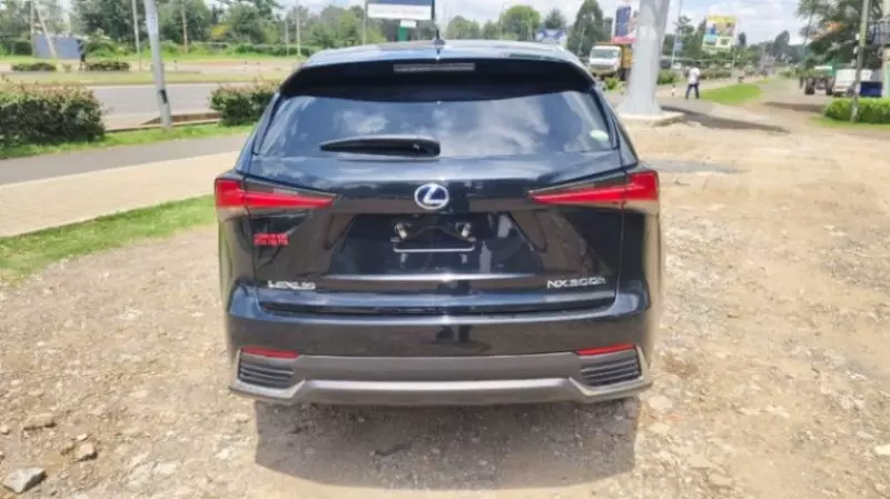 Lexus NX 300   - 2018