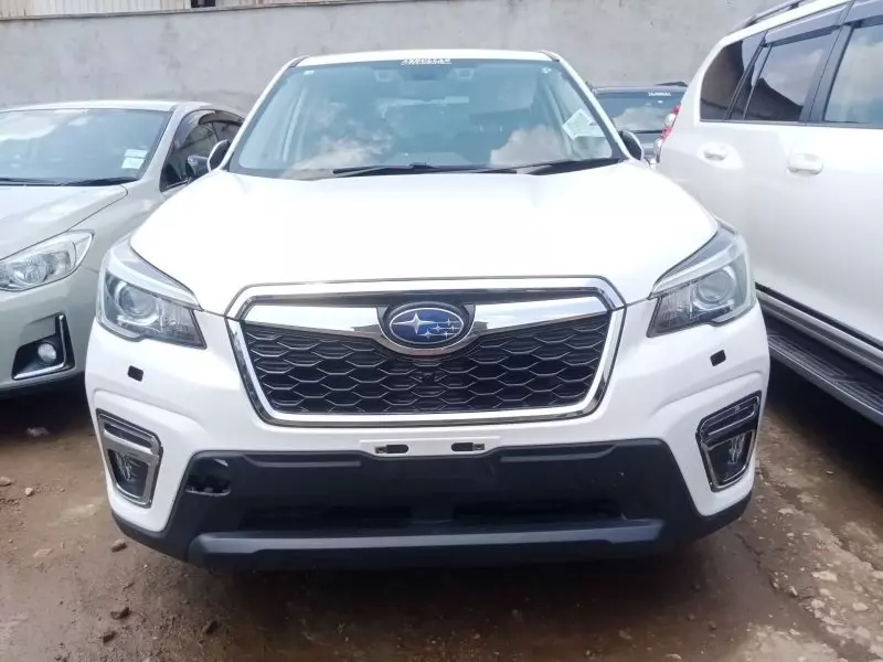 Subaru Forester   - 2019