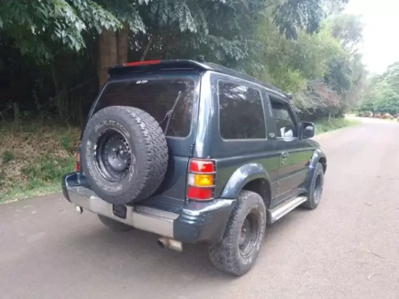 Mitsubishi Pajero - 1992