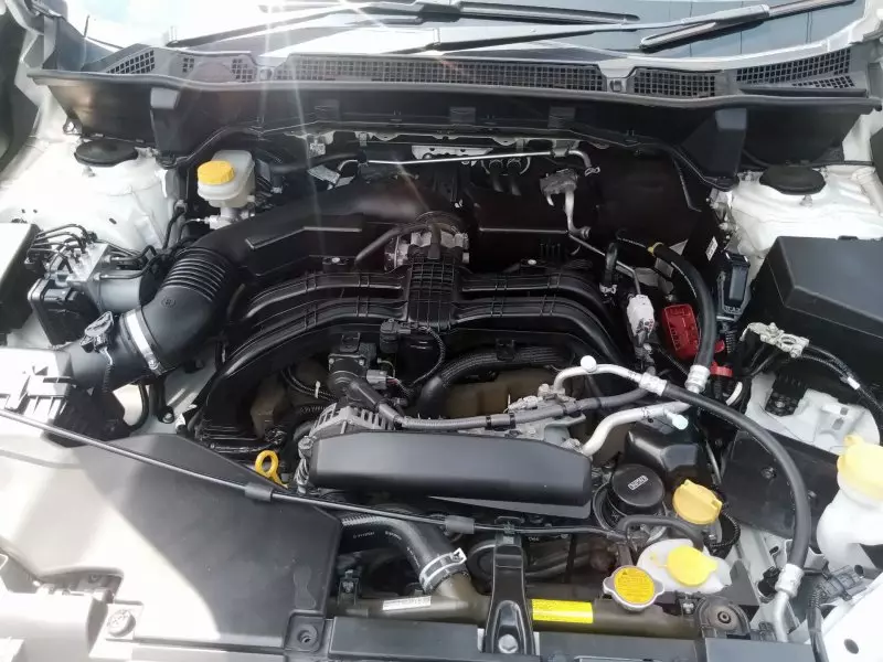Subaru Forester   - 2019