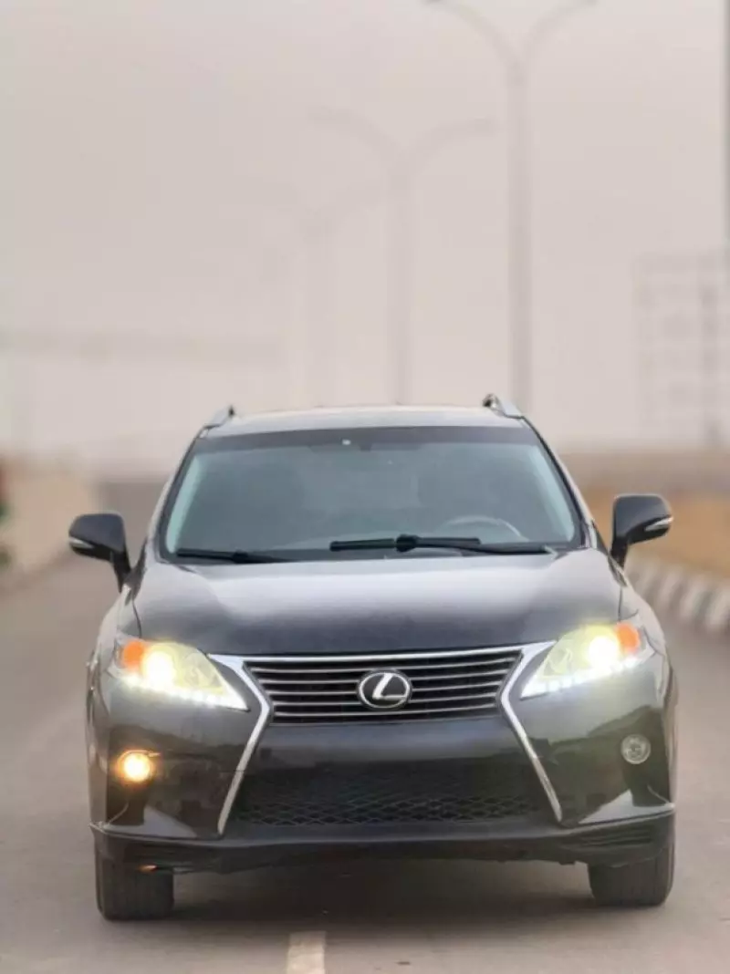 Lexus RX - 2013