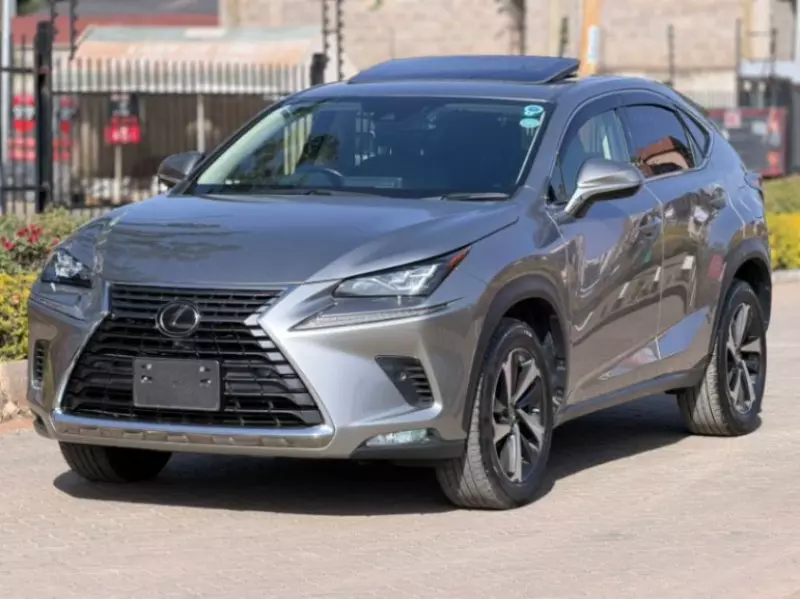 Lexus NX 300