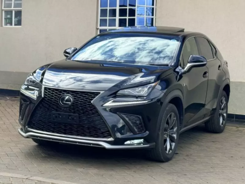 Lexus NX 300   - 2019