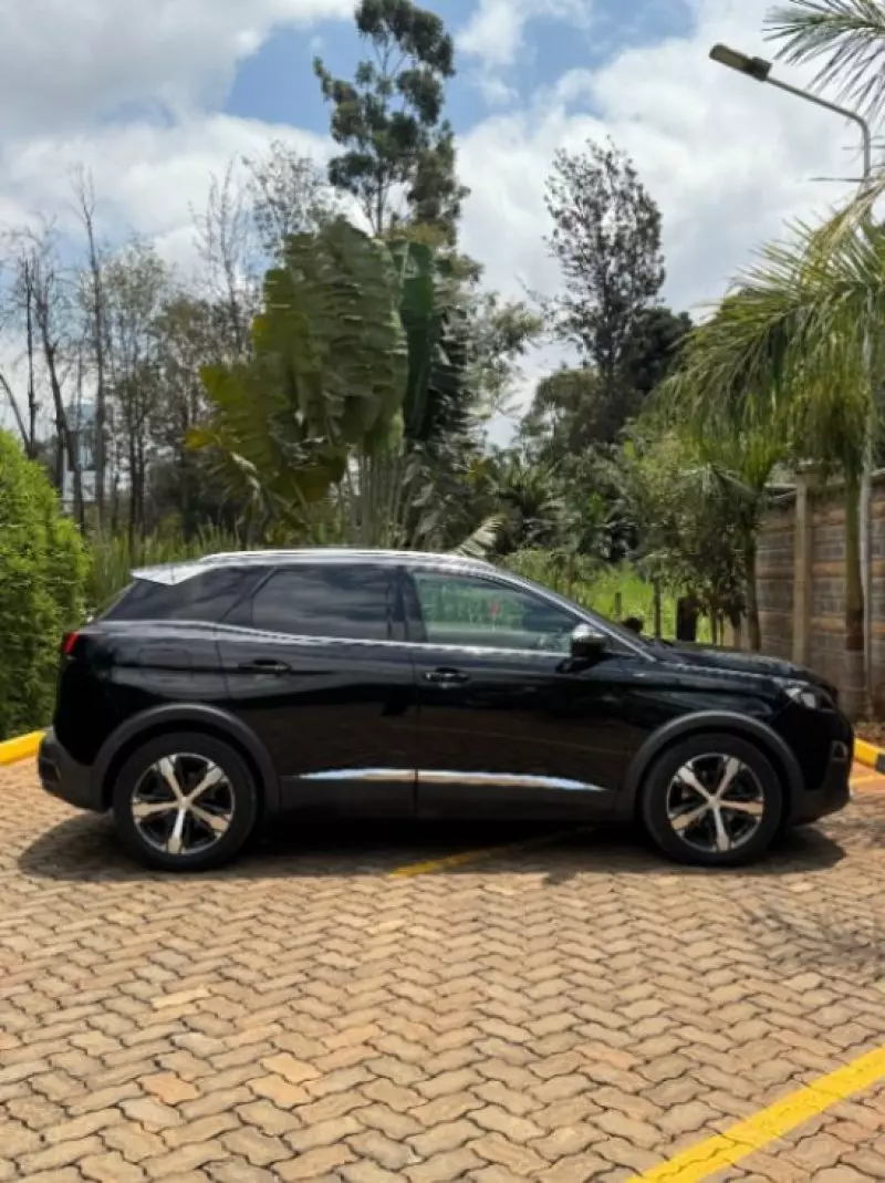 Peugeot 3008 - 2018