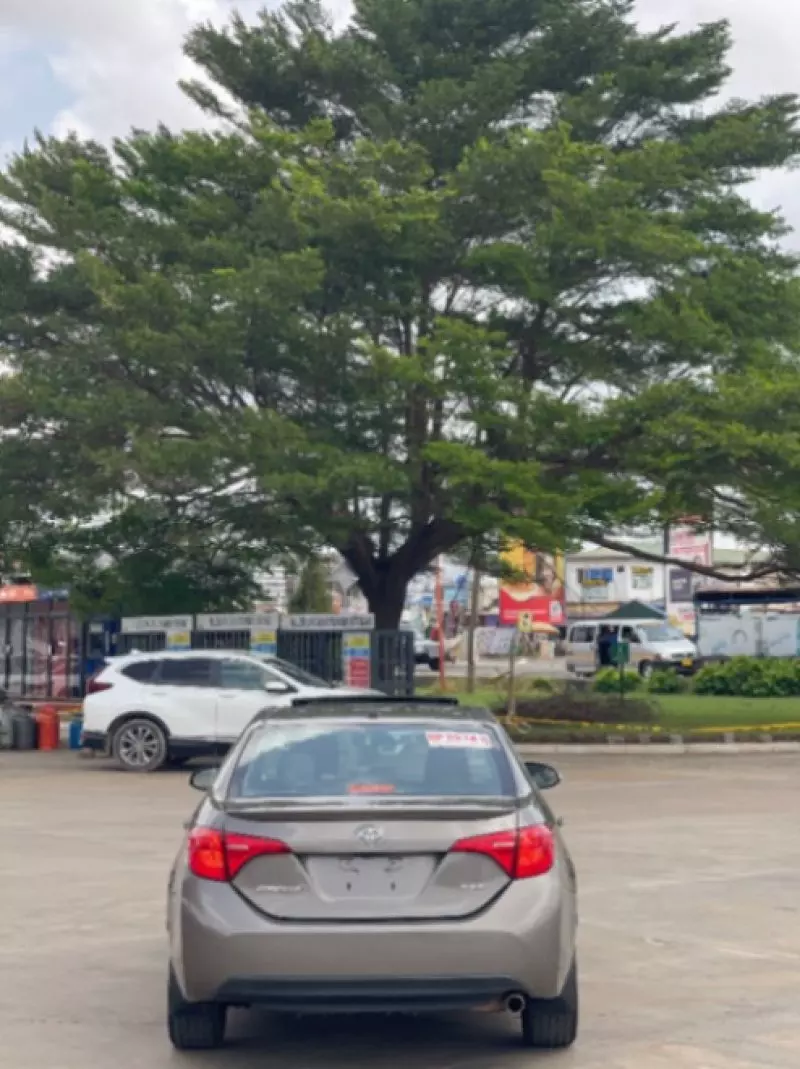 Toyota corolla   - 2019