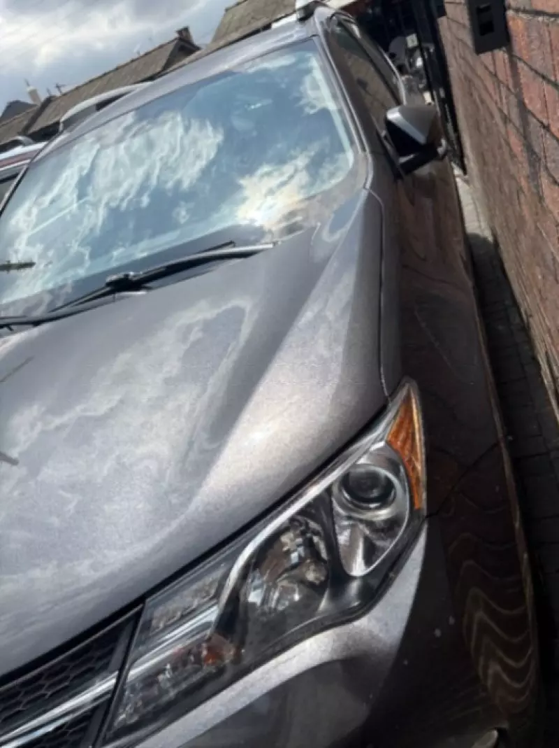 Toyota RAV 4   - 2014