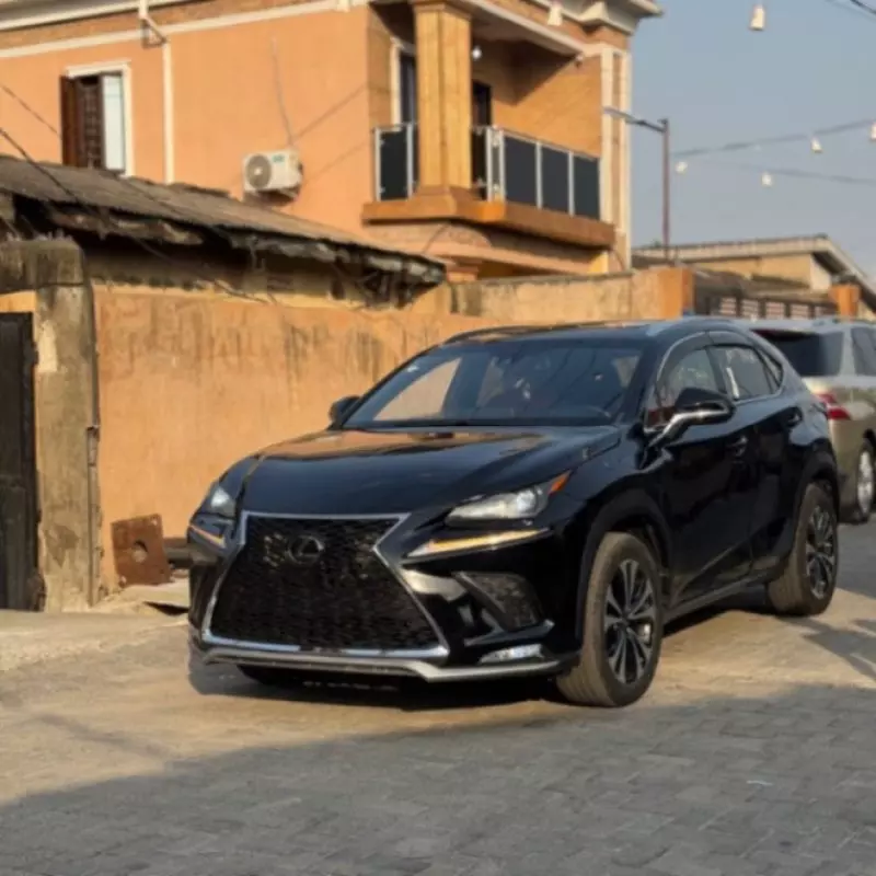 Lexus NX   - 2020