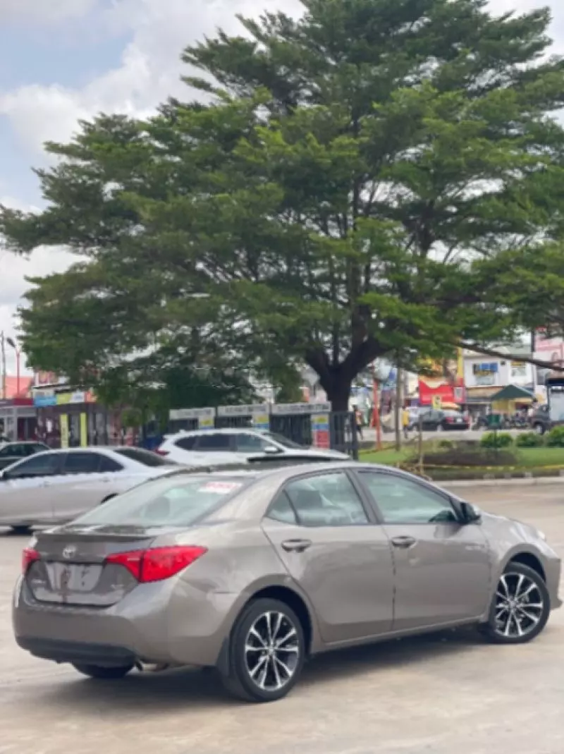 Toyota corolla   - 2019