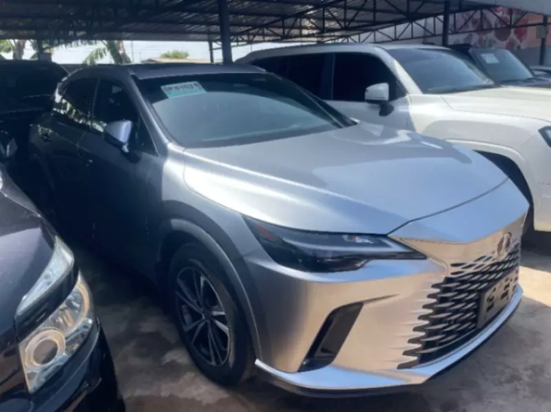 Lexus RX   - 2024