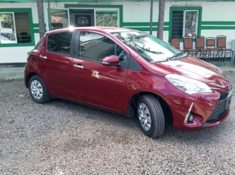 Toyota Vitz   - 2019