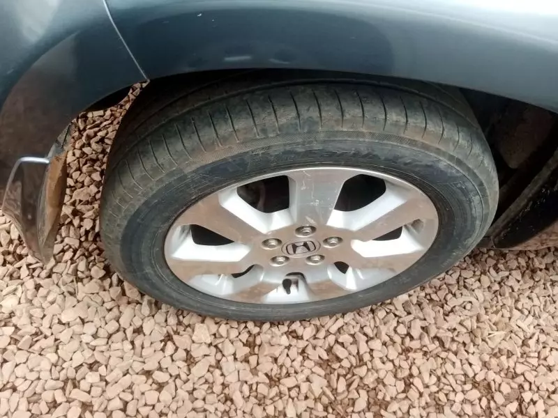 Honda Crosstour   - 2010