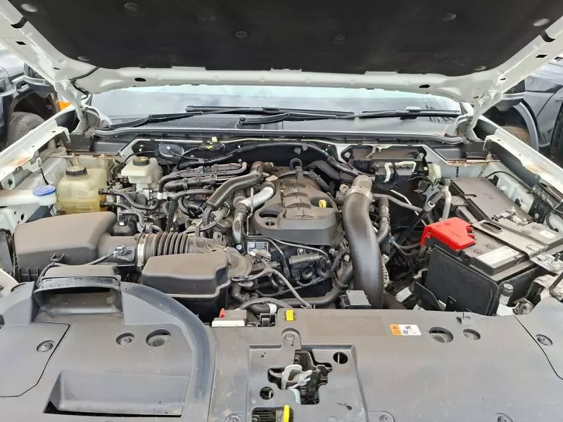 Ford Raptor   - 2024