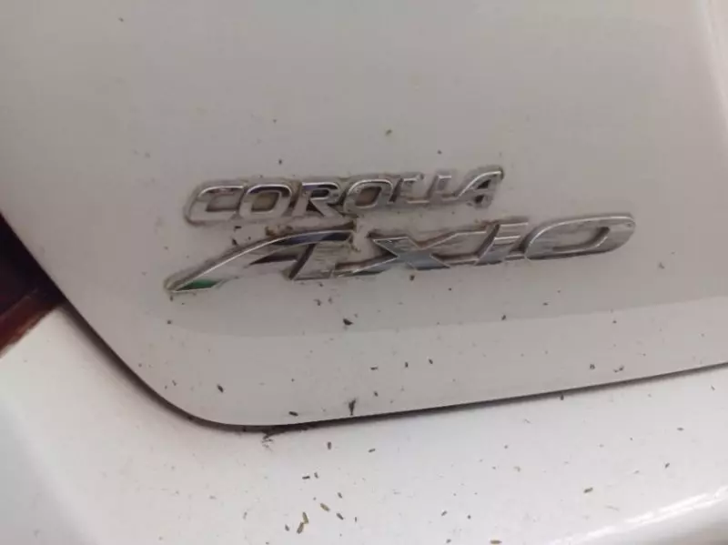 Toyota Axio    - 2015