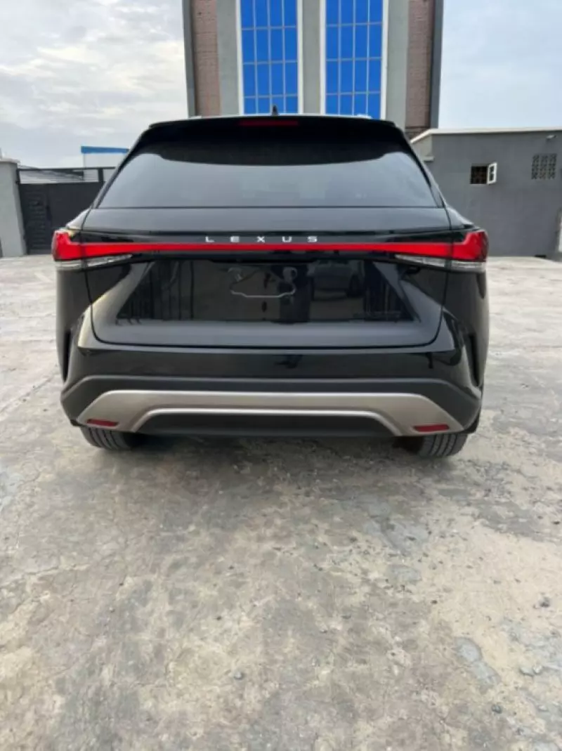 Lexus RX   - 2024