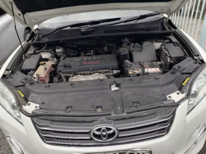 Toyota Vanguard    - 2009