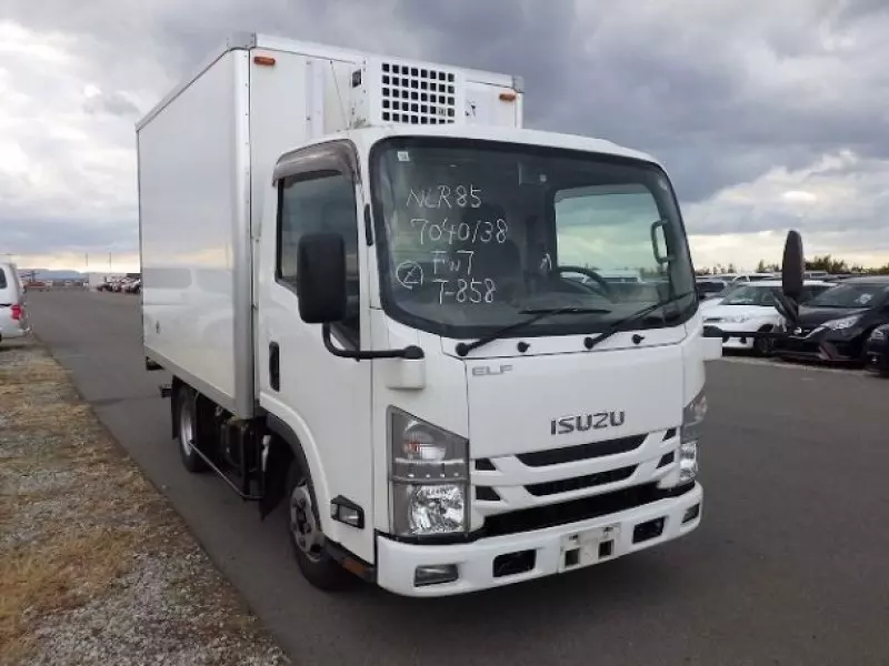 Isuzu Elf   - 2019