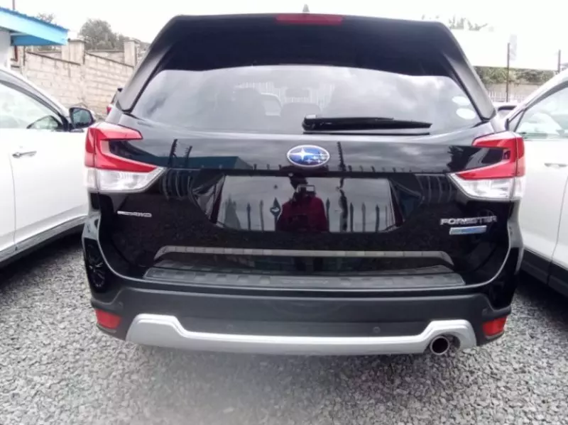 Subaru Forester   - 2019
