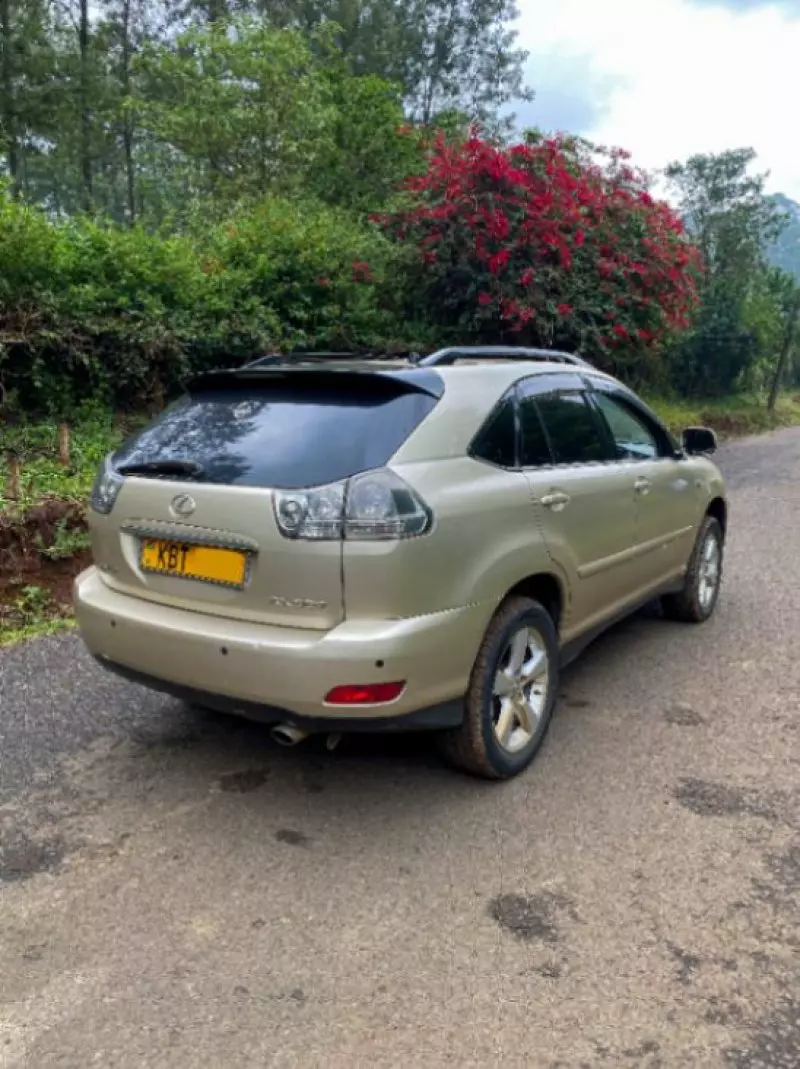 Lexus RX 300   - 2006