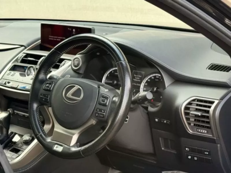 Lexus NX 300   - 2019