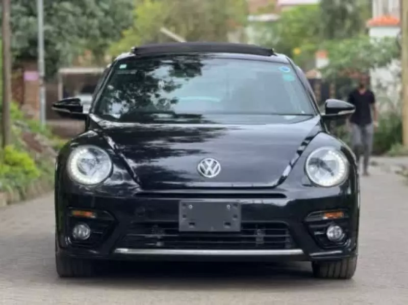Volkswagen Beetle - 2019