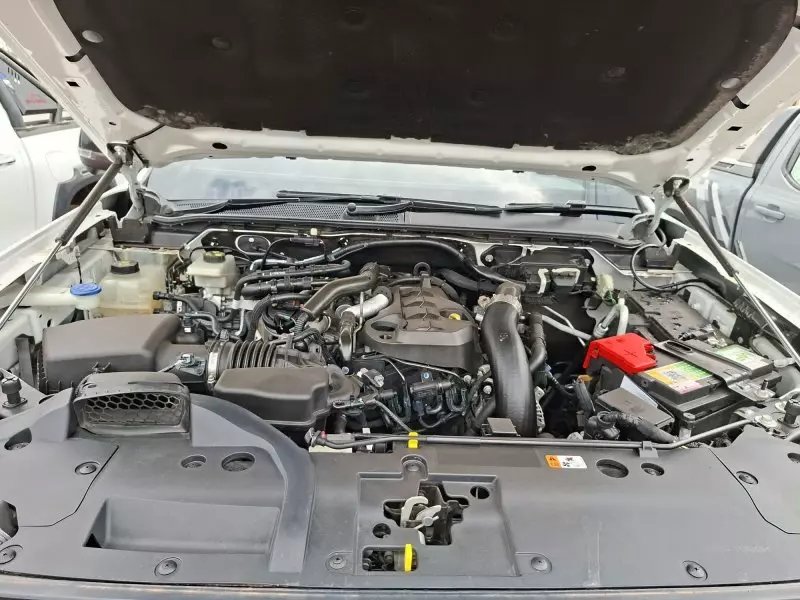 Ford Raptor   - 2024