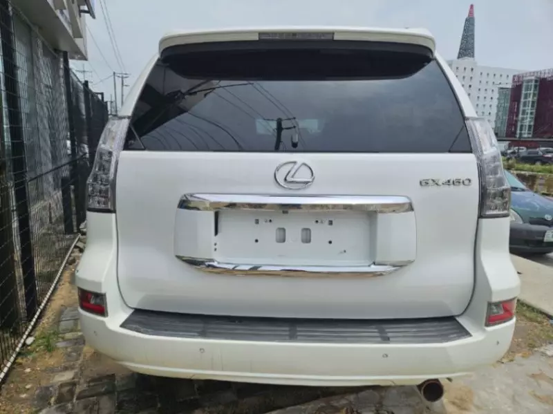 Lexus Lexus LX 460   - 2018