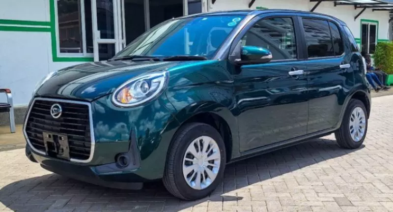 Daihatsu Boon    - 2019