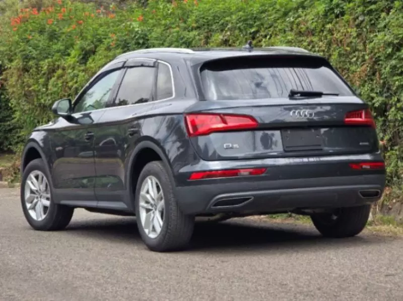 Audi Q5   - 2019