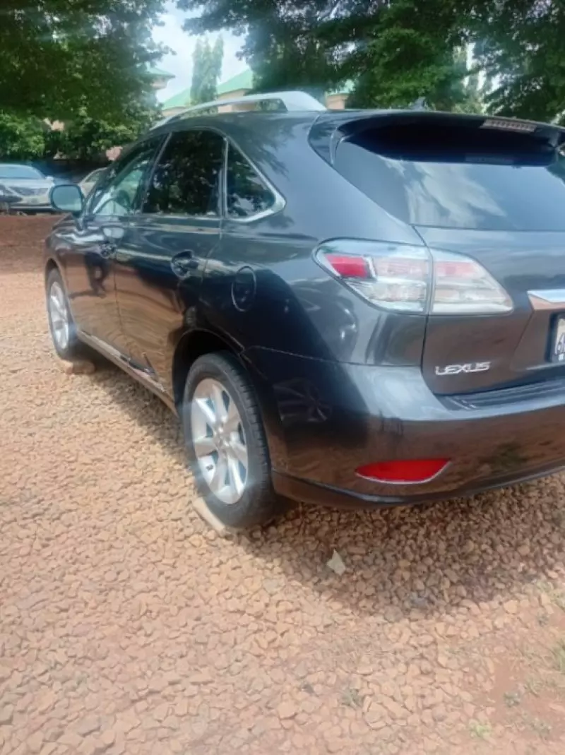 Lexus RX   - 2010