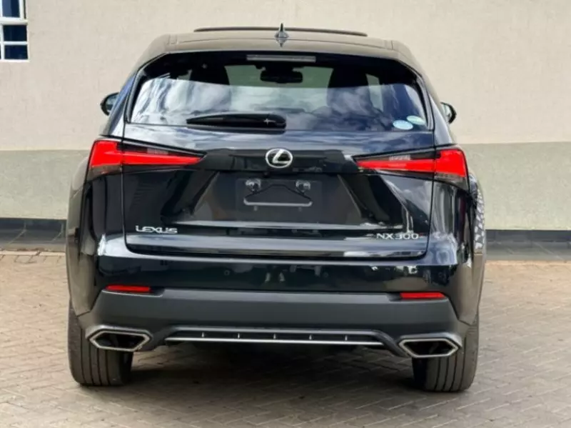 Lexus NX 300   - 2019