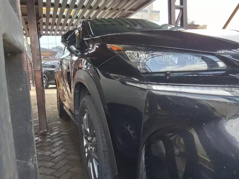 Lexus NX300h Hybrid   - 2015