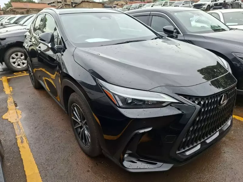 Lexus NX300h Hybrid   - 2023