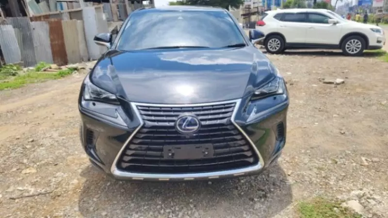 Lexus NX 300   - 2018
