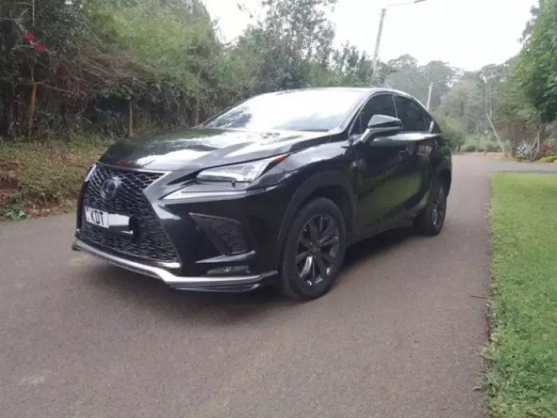 Lexus NX300h Hybrid
