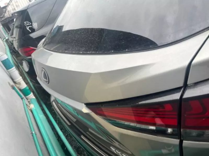 Lexus RX   - 2021