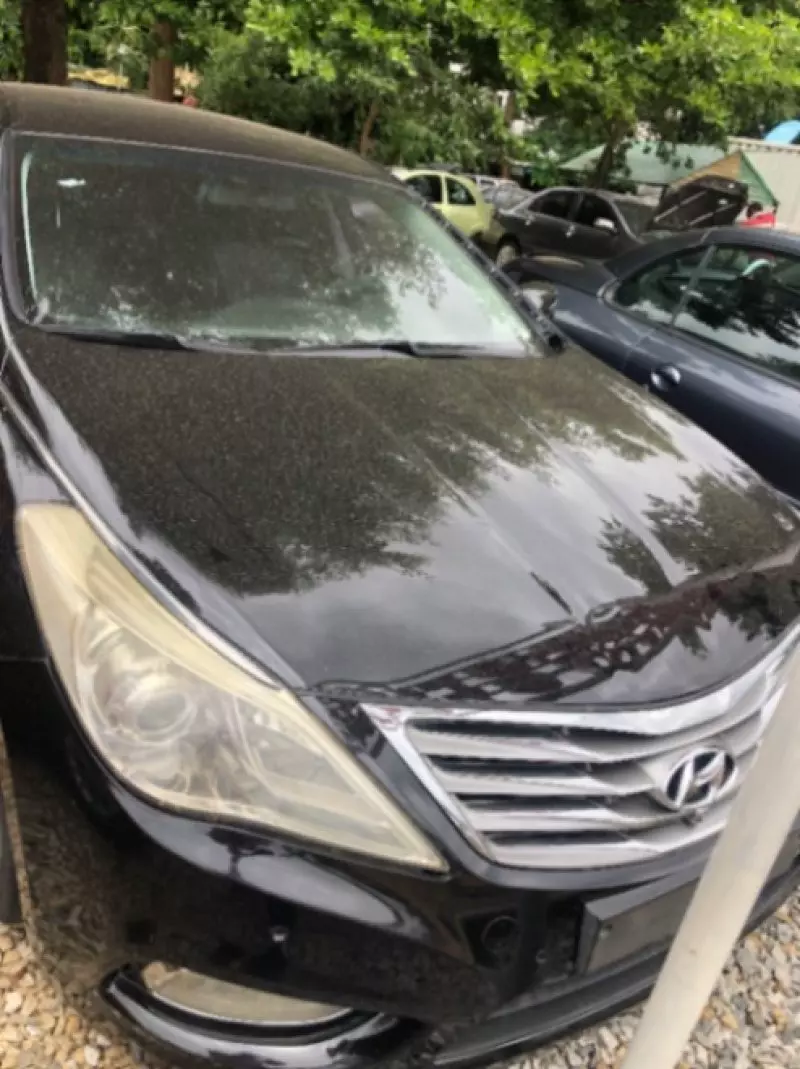 Hyundai Grandeur   - 2010
