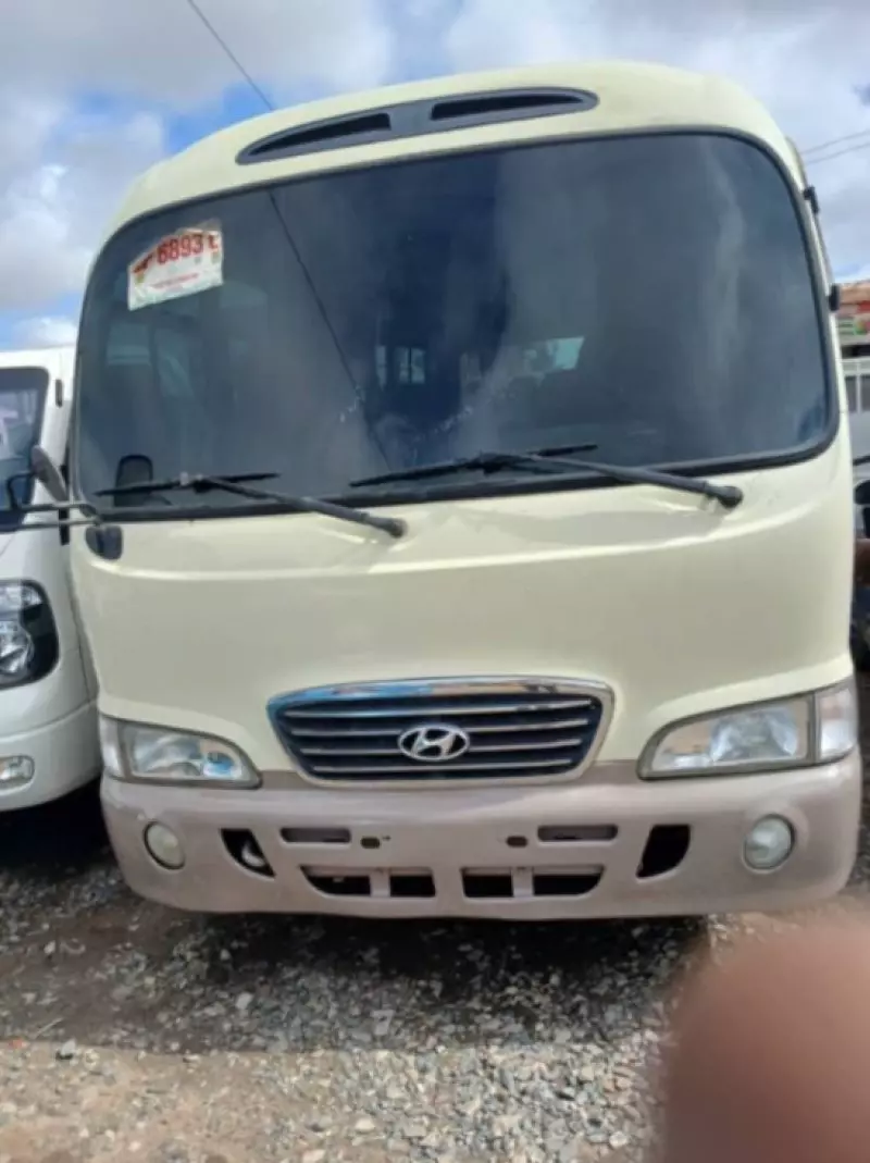 Hyundai county   - 2015