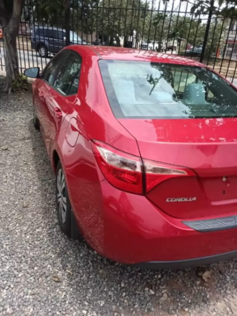 Toyota Corolla   - 2019