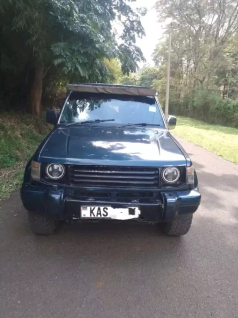 Mitsubishi Pajero - 1992