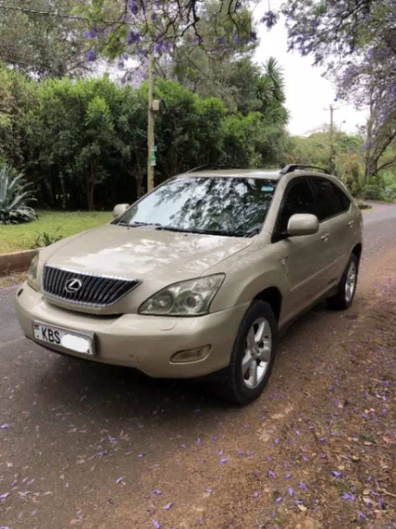 Lexus RX 300 - 2005