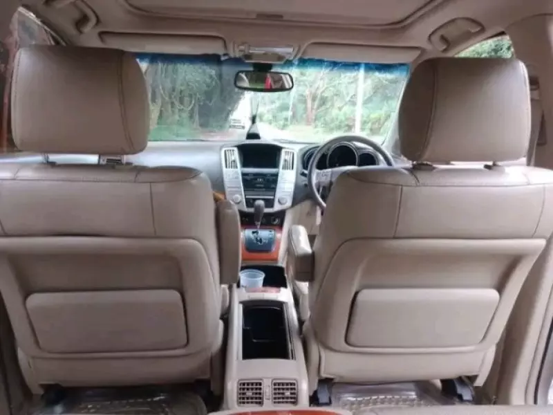 Lexus RX 300   - 2005