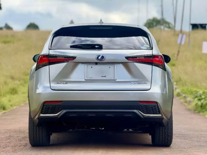 Lexus NX300h Hybrid   - 2018