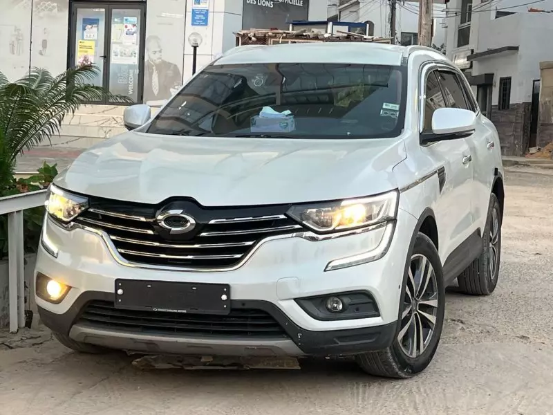 RENAULT QM3   - 2017