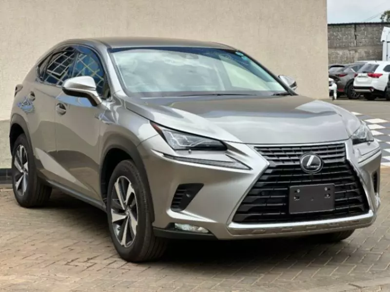 Lexus NX 300   - 2018