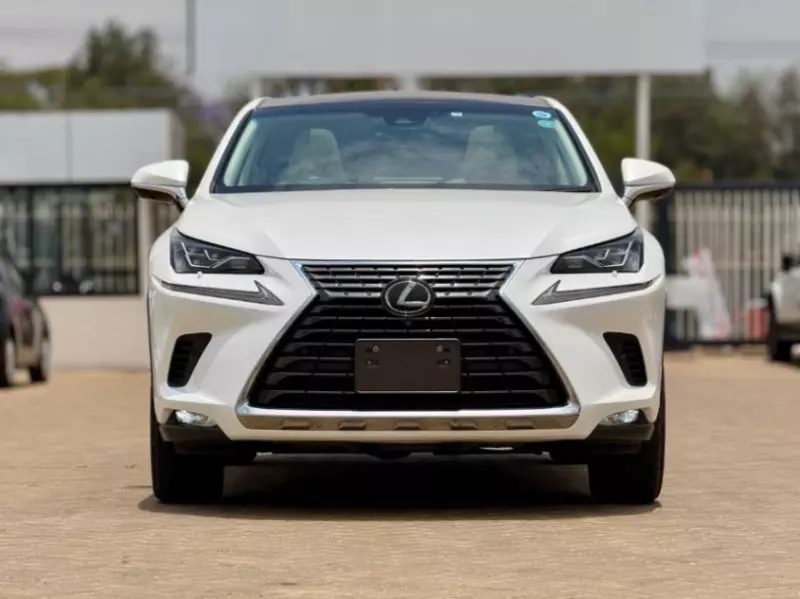 Lexus NX 300   - 2018