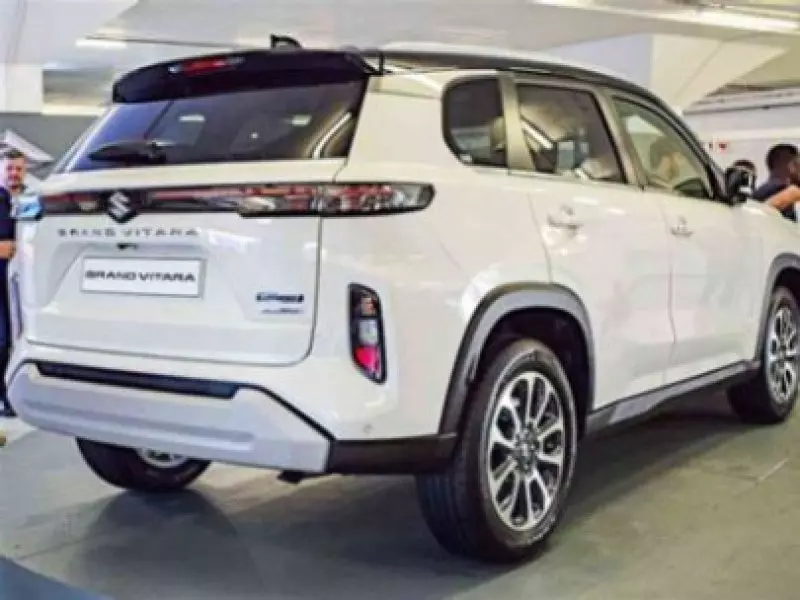 SUZUKI Grand Vitara   - 2025