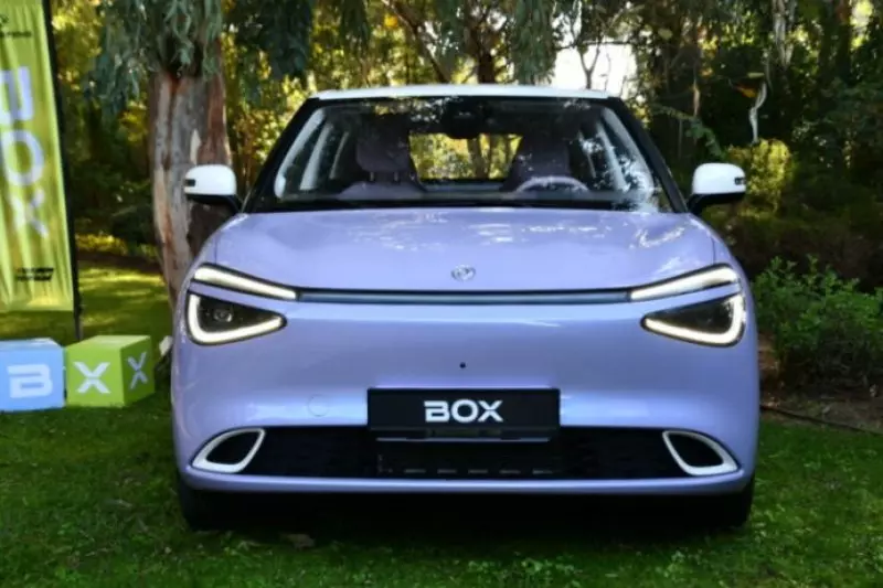 DONGFENG BOX ONDULE 2T   - 2025