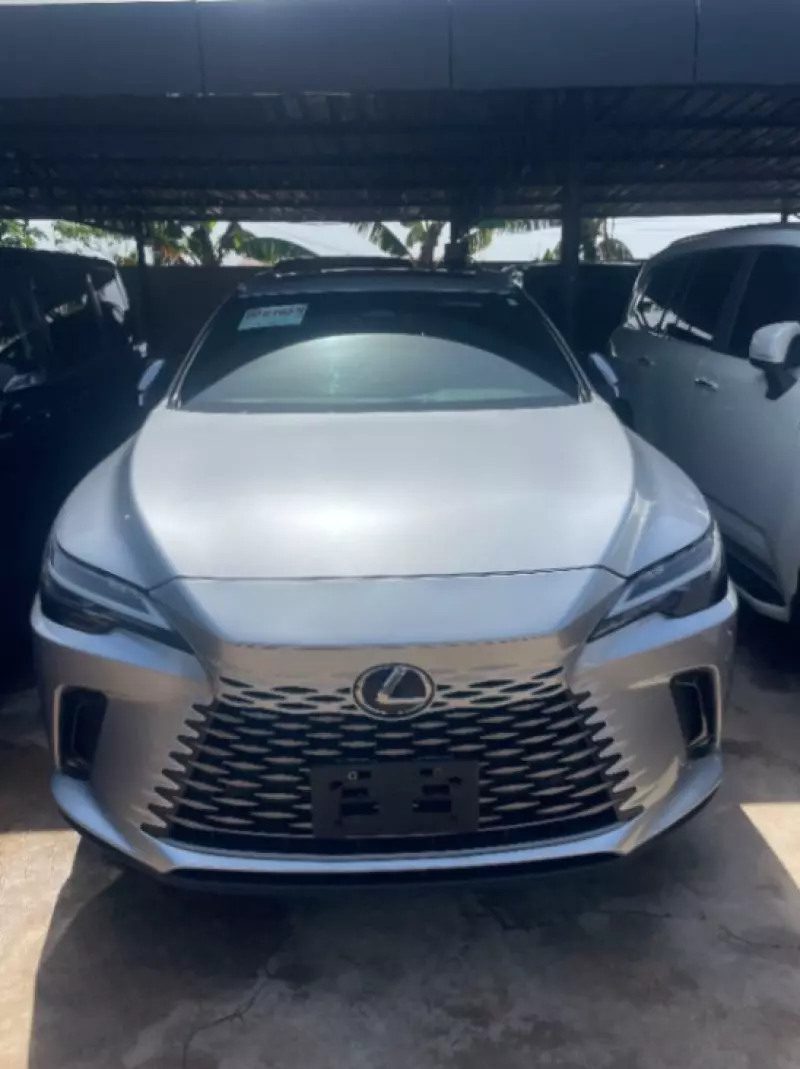 Lexus RX   - 2024