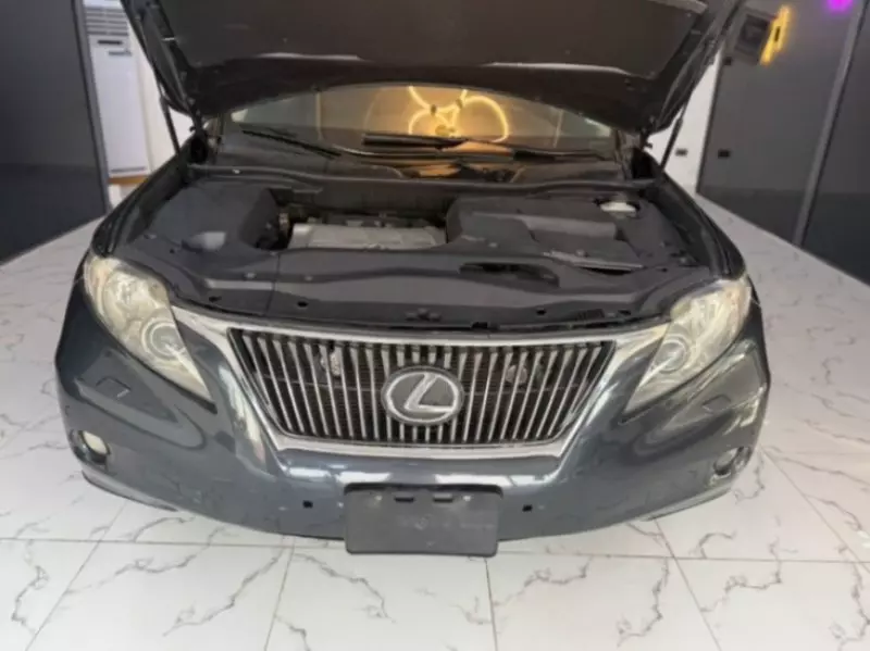 Lexus RX   - 2010